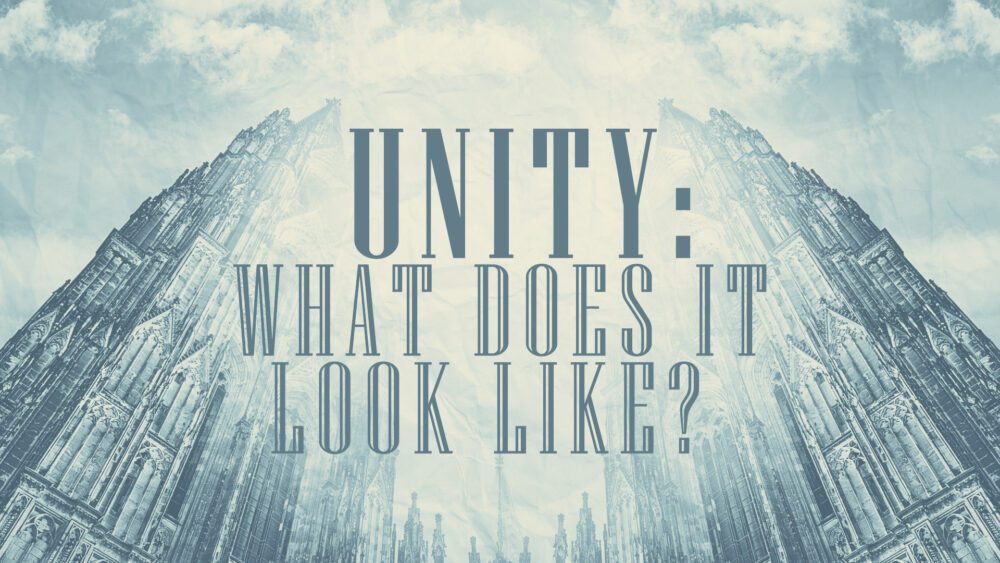 Unity What Does It Look Like? Image
